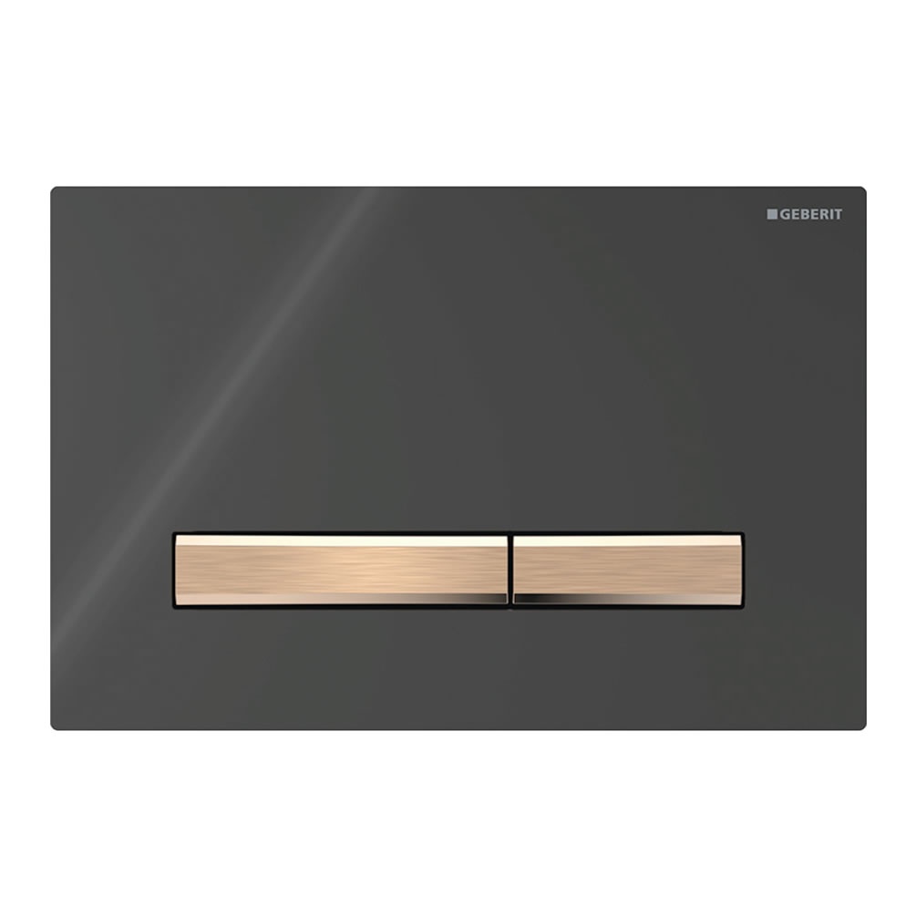 Cutout image of Geberit Sigma50 Square Black / Red Gold Dual Flush Plate